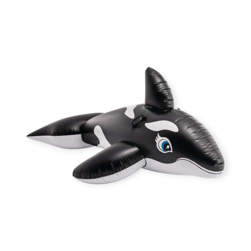 Picture of RIDE-ON 187CM WHALE